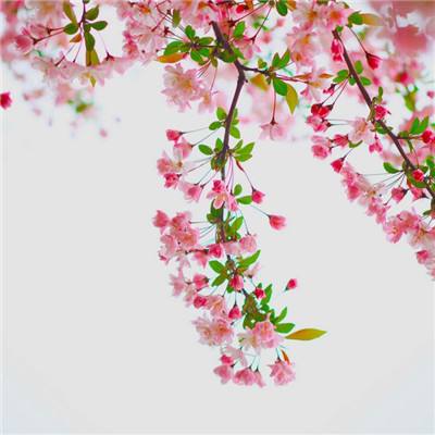 方块高速中文版下载